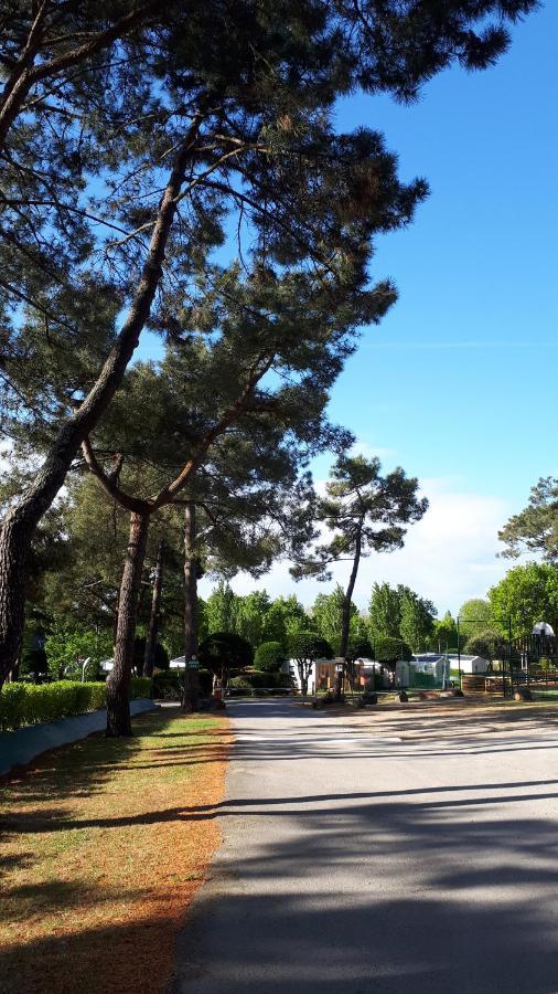 Mobil Home Climatise Carnac Εξωτερικό φωτογραφία